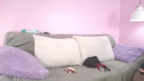 hiyakasudere_ online show from 3, 12, 2025