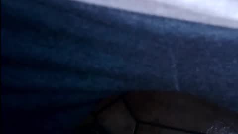 hofnung online show from 4, 2, 2026