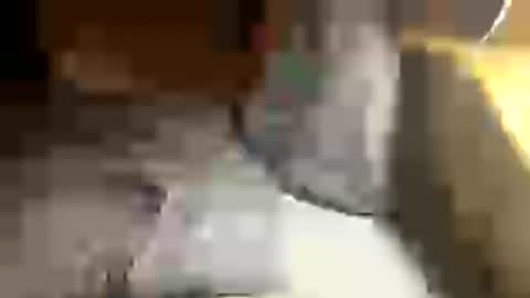 Snapshot of holder012 chatting on 29, 6, 2026 Joe online show from 29, 6, 2026