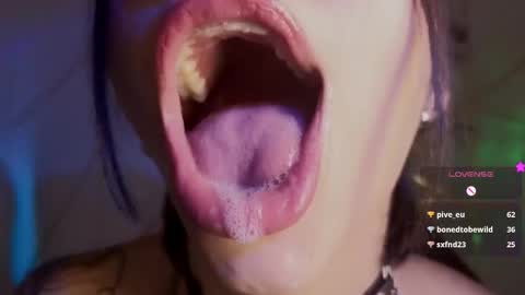 holly online show from 3, 2, 2026