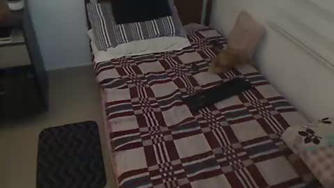 Holofernes45gil online show from 28, 3, 2026