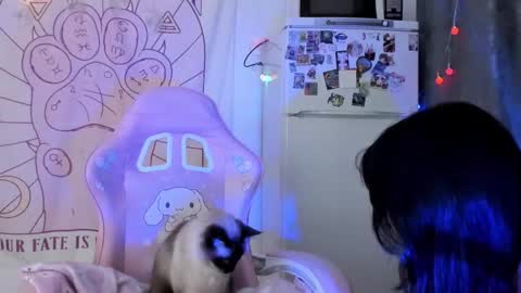 Ho Lee Sheet online show from 18, 1, 2026