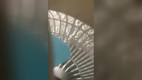 honesti_pretty online show from 21, 2, 2026