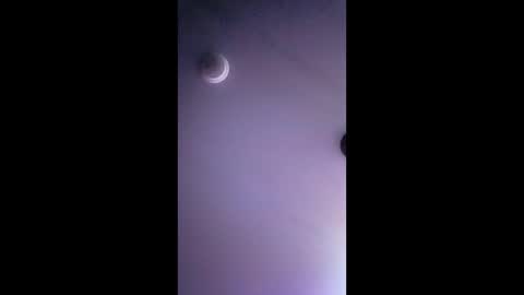 honeybear2026 online show from 19, 1, 2026