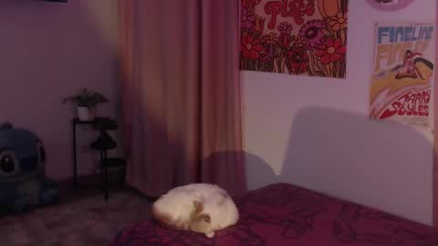    online show from 11, 12, 2024