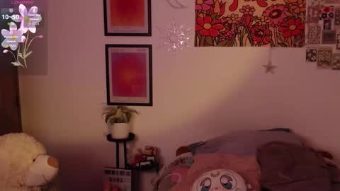    online show from 24, 9, 2025