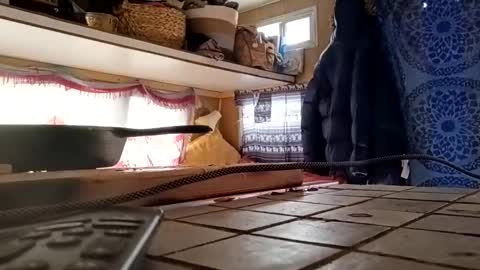 hoodoou online show from 20, 12, 2025