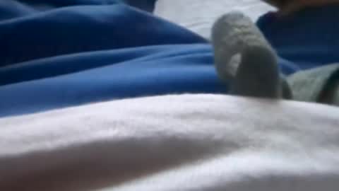 Tiny cock online show from 8, 7, 2026