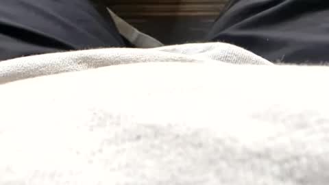 Tiny cock online show from 15, 7, 2026