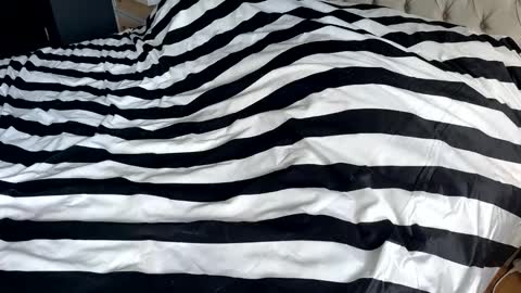 hornyasscouple1009 online show from 17, 1, 2026