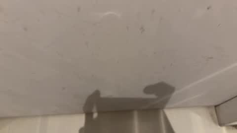 hornybear420420420 online show from 2, 3, 2026