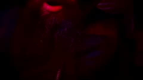 horse9ram5 online show from 16, 12, 2024