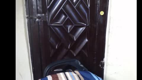 Coco online show from 25, 11, 2025