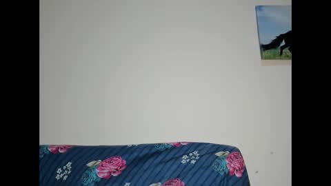 junior online show from 17, 3, 2026