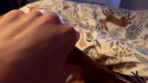 Snapshot of hot_for_you_ chatting on 26, 2, 2026 hot_for_you_ online show from 26, 2, 2026