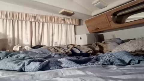 HotAmyMike online show from 11, 11, 2025