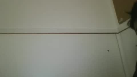 hotandwild2003 online show from 16, 2, 2026