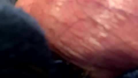 Snapshot of hotdog1124 chatting on 6, 1, 2025 hotdog1124 online show from 6, 1, 2025