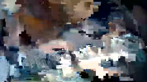 hotflowerclit online show from 27, 4, 2026