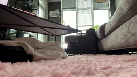 hotgirlbigbutt online show from 23, 5, 2026