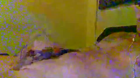 hotjox online show from 5, 3, 2026