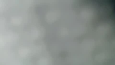 hottie_shanty online show from 25, 3, 2026