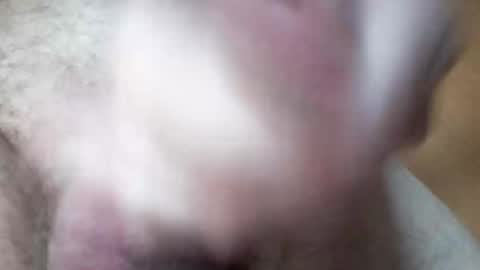 hrubesch2019 online show from 26, 10, 2025