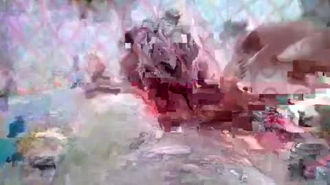 Huge dick online show from 8, 3, 2026