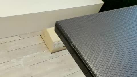 Erin online show from 3, 3, 2025