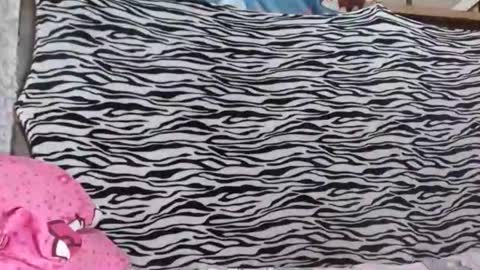 bella    passwordshow 500tokens  no time limit online show from 19, 10, 2025