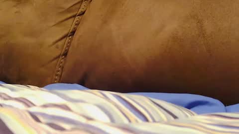 BigFTMdick online show from 9, 12, 2024