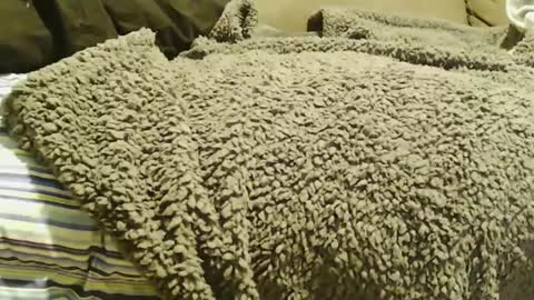 BigFTMdick online show from 22, 12, 2024