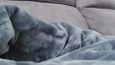 BigFTMdick online show from 24, 12, 2024