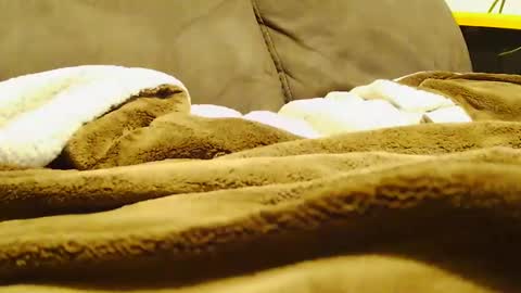 BigFTMdick online show from 30, 12, 2024