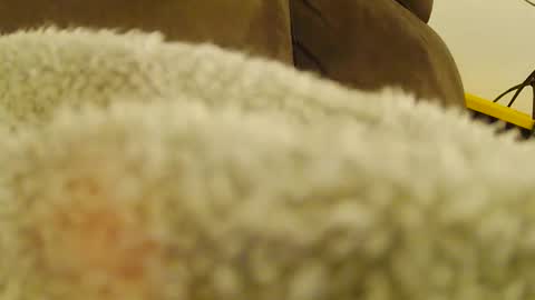 BigFTMdick online show from 6, 1, 2025