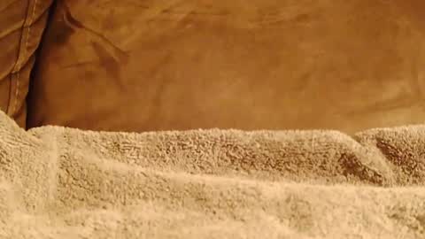 BigFTMdick online show from 8, 1, 2025