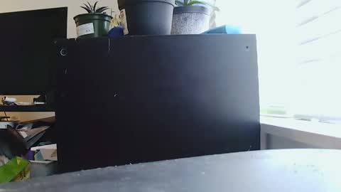 BigFTMdick online show from 11, 1, 2025