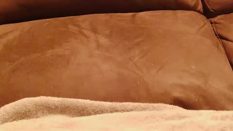 BigFTMdick online show from 13, 1, 2025