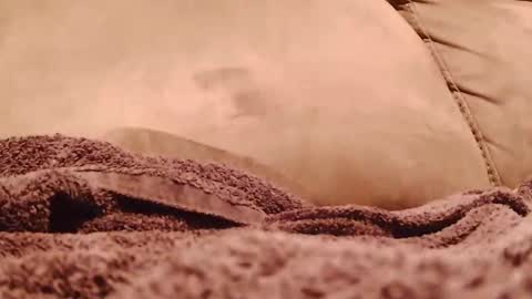 BigFTMdick online show from 19, 1, 2025