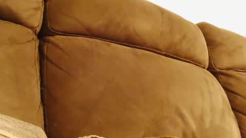 BigFTMdick online show from 30, 1, 2025