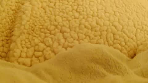 BigFTMdick online show from 4, 2, 2025