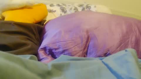 BigFTMdick online show from 23, 11, 2025