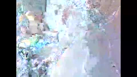 jamaeca online show from 20, 11, 2025