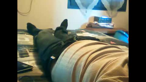 iagreeto online show from 3, 2, 2025