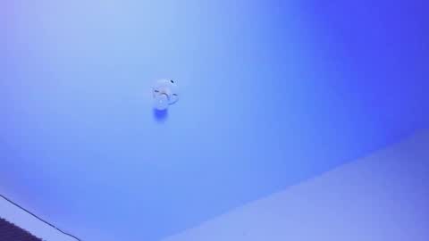 NAHO online show from 1, 10, 2025