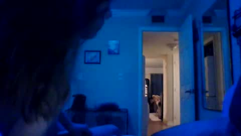 Goat  Lulu  Elektra online show from 14, 2, 2025