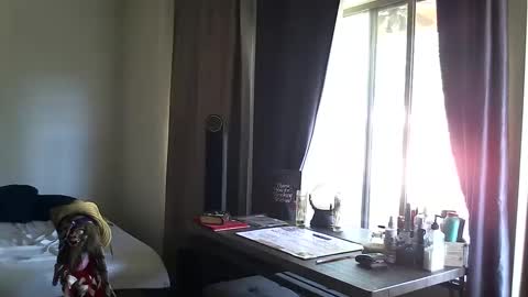 PMS online show from 13, 10, 2025