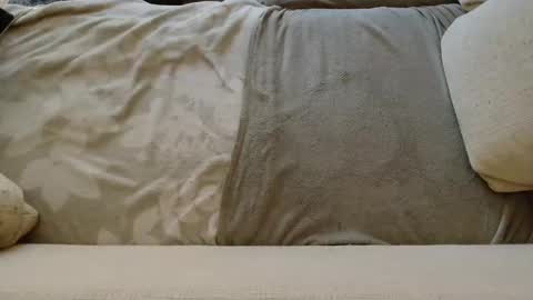 SnowTiger online show from 24, 1, 2025