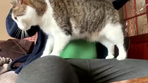 Snapshot of icums4u chatting on 24, 3, 2026 icums4u online show from 24, 3, 2026