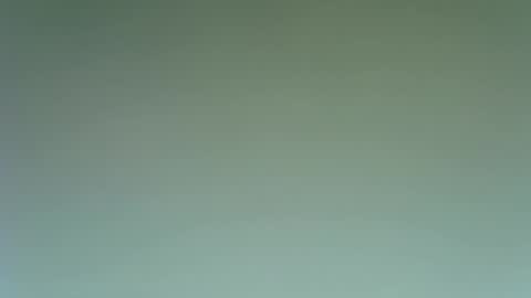 Snapshot of idkwhattowatch chatting on 23, 12, 2024 idkwhattowatch online show from 23, 12, 2024